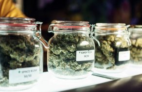 Santa Clara Planning Commissioners Debate Cannabis Ban