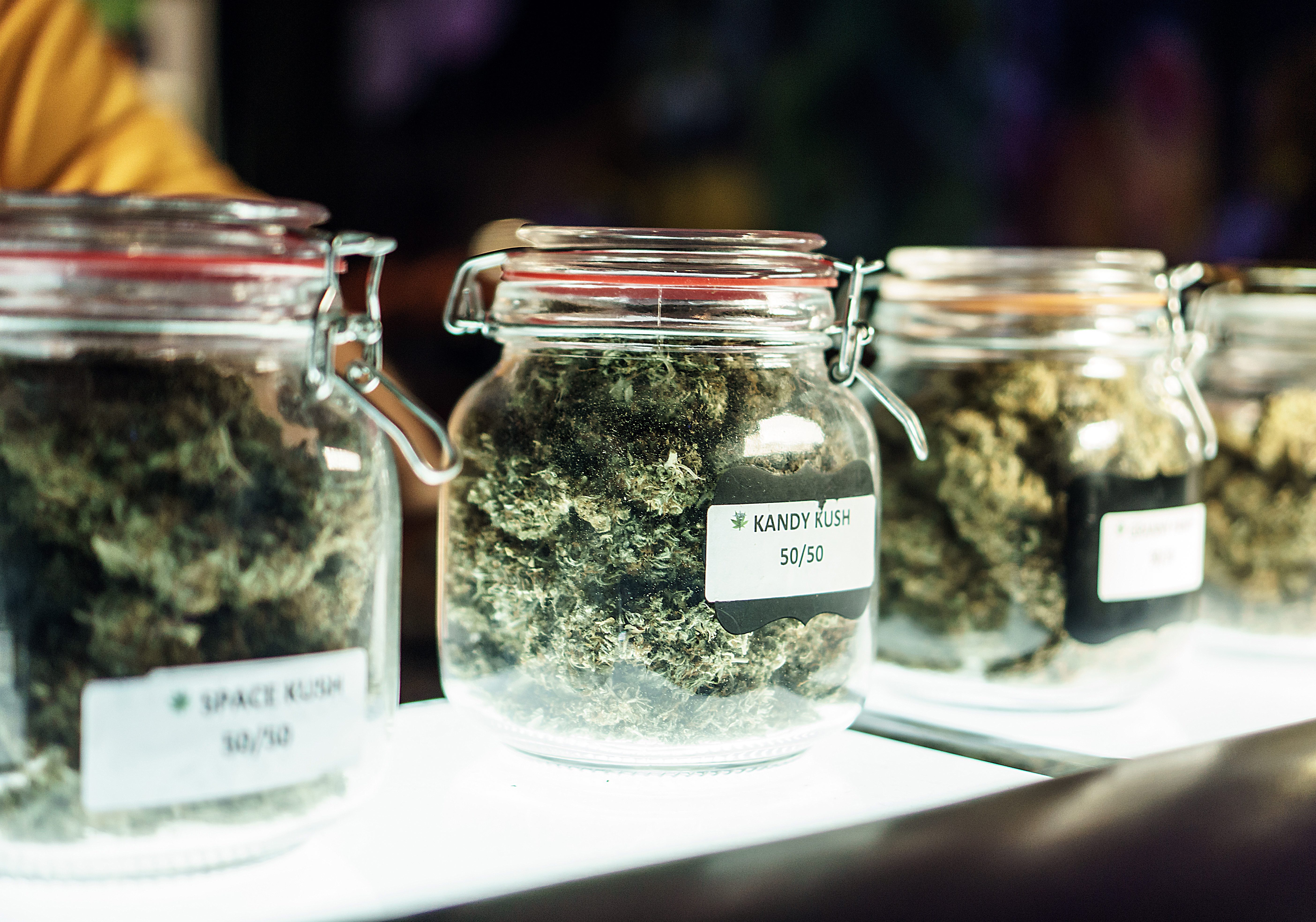 The Santa Clara Planning Commissioners debated a cannabis ban on cannabis dispensaries. They approved the ServcieNow campus on Lawson Lane.