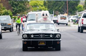 Bunny Brightens Up Easter For Sheltering Families