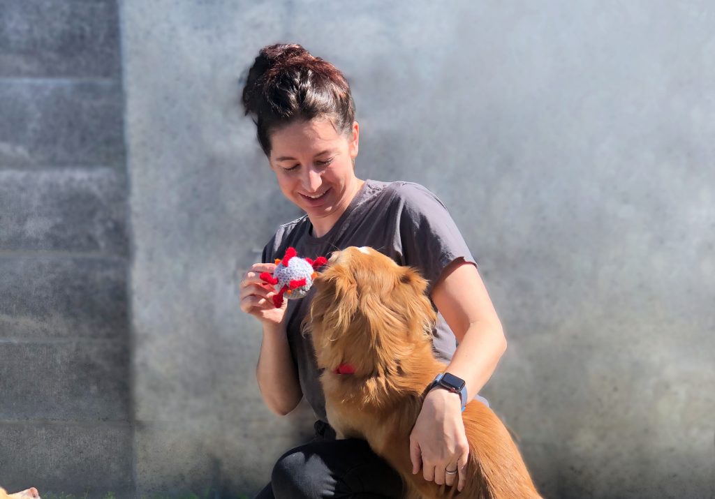 Humane Society Silicon Valley in Milpitas is now offering online adoptions to help people find new furry friends. Adoptions continue through COVID-19.