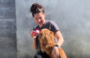 Humane Society Silicon Valley: Open for Online Adoptions