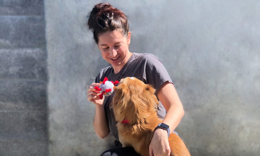 Humane Society Silicon Valley in Milpitas is now offering online adoptions to help people find new furry friends. Adoptions continue through COVID-19.