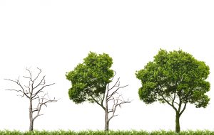 Milestones: Recovery Soon?