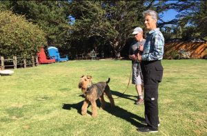 Single Proprietor Businesses See Little Help and Plenty of Catch-22s