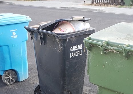 Santa Clara Councilmember Raj Chahal is questioning the decision to hire Green Waste Recovery to sort the City's garbage rather than more affordable options