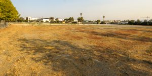 12 Empty Acres Deliver $817 Property Tax Thanks to City Council Indecision