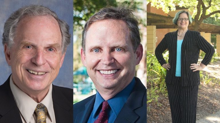 Sunnyvale Mayor Candidates: Michael Goldman, Larry Klein & Nancy Smith