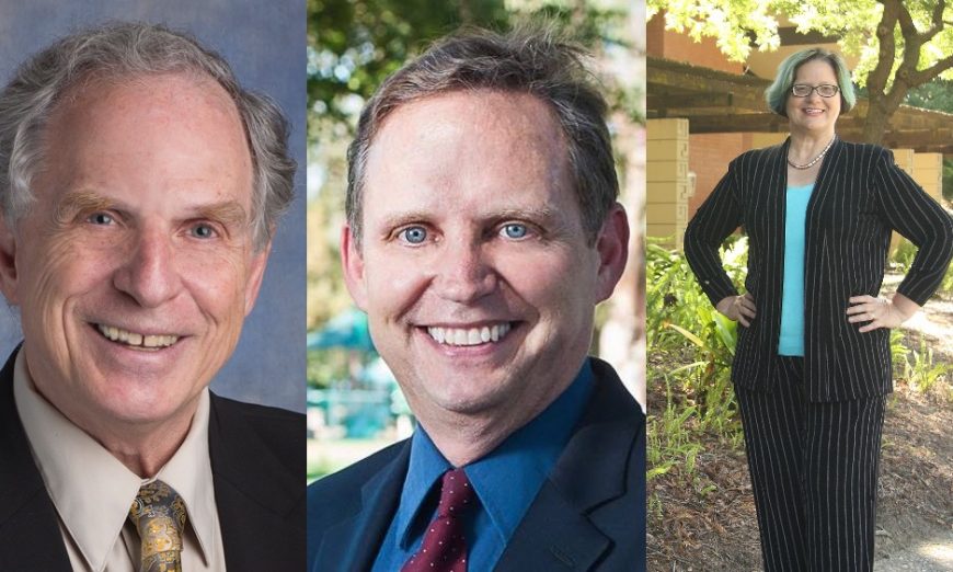 The Sunnyvale Mayor Candidates, Michael Goldman, Larry Klein and Nancy Smith, answer The Weekly's questions before the election.