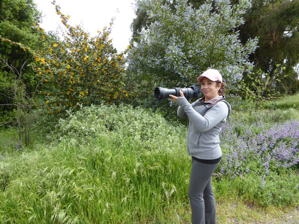 Erica Fleniken is a volunteer as well as the nature and wildlife photographer at Ulistac Natural Area in Santa Clara. She loves bird photography.