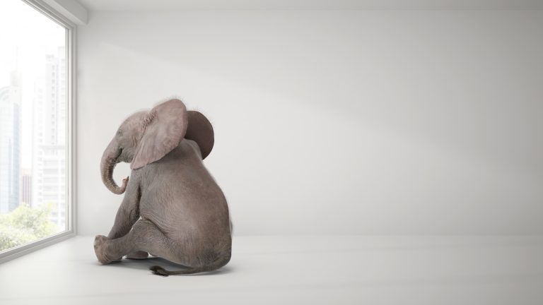 Milestones: Dodge, deflect and delay! – Opinion