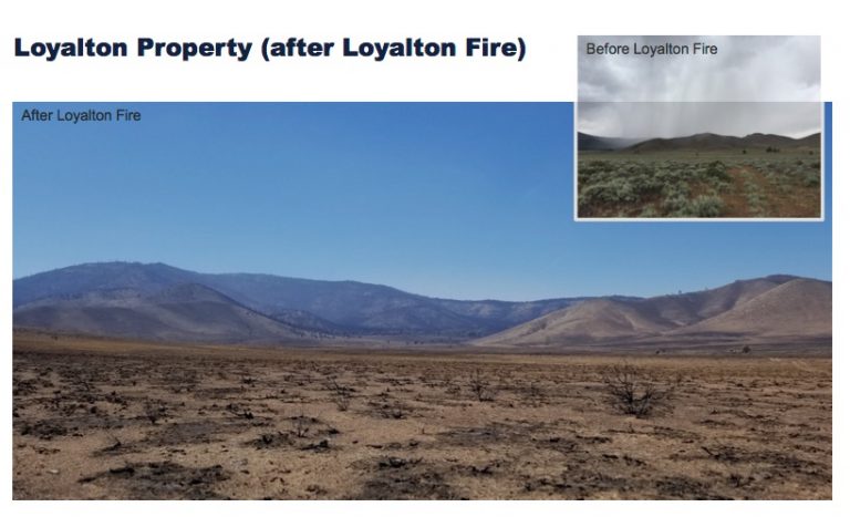 Remote Sierra Land is Money Pit for City, But Mayor Leads Opposition to Selling