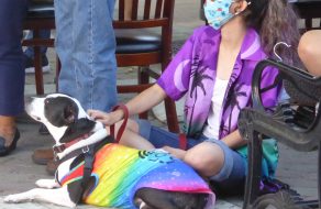 Sunnyvale Throws Coming Out Party for Pride Month