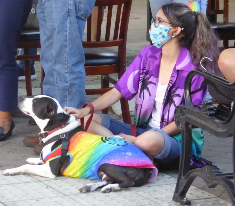 Sunnyvale Throws Coming Out Party for Pride Month