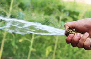 City of Santa Clara Proclaims Local Emergency for Extreme Drought Conditions