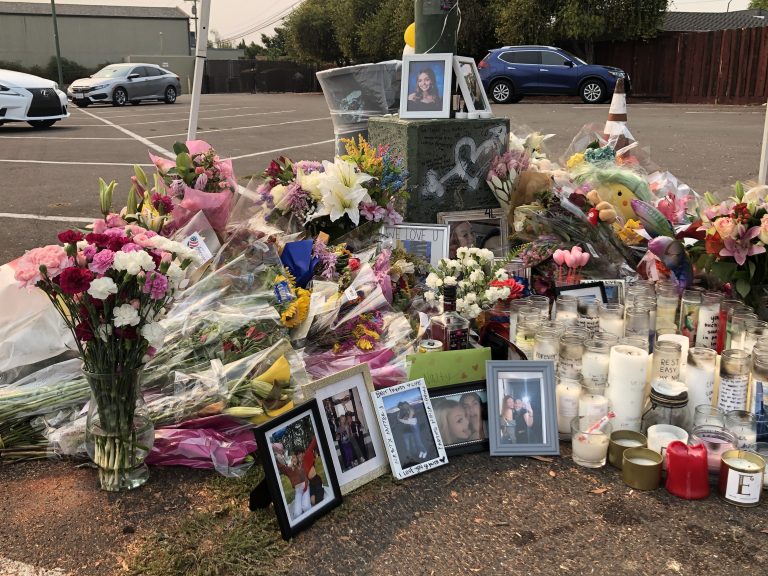 Santa Clara Mother and Daughter Killed in Collision