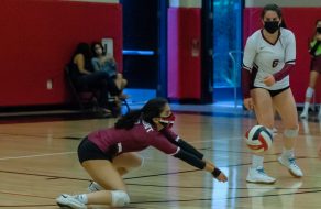 Firebirds Fly to Fast Start, but Ferocious Effort Falls Short