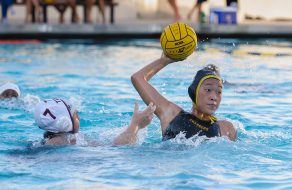 Wilcox Water Polo Cruises Past Cupertino 