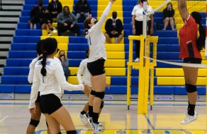 Bruins Serve Their Way to Win Over Falcons 