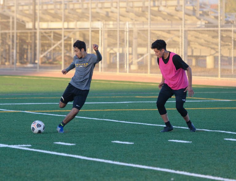 Wilcox Soccer Looking to Build Off Undefeated Season