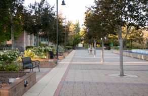 Temporary City Closures Due to COVID