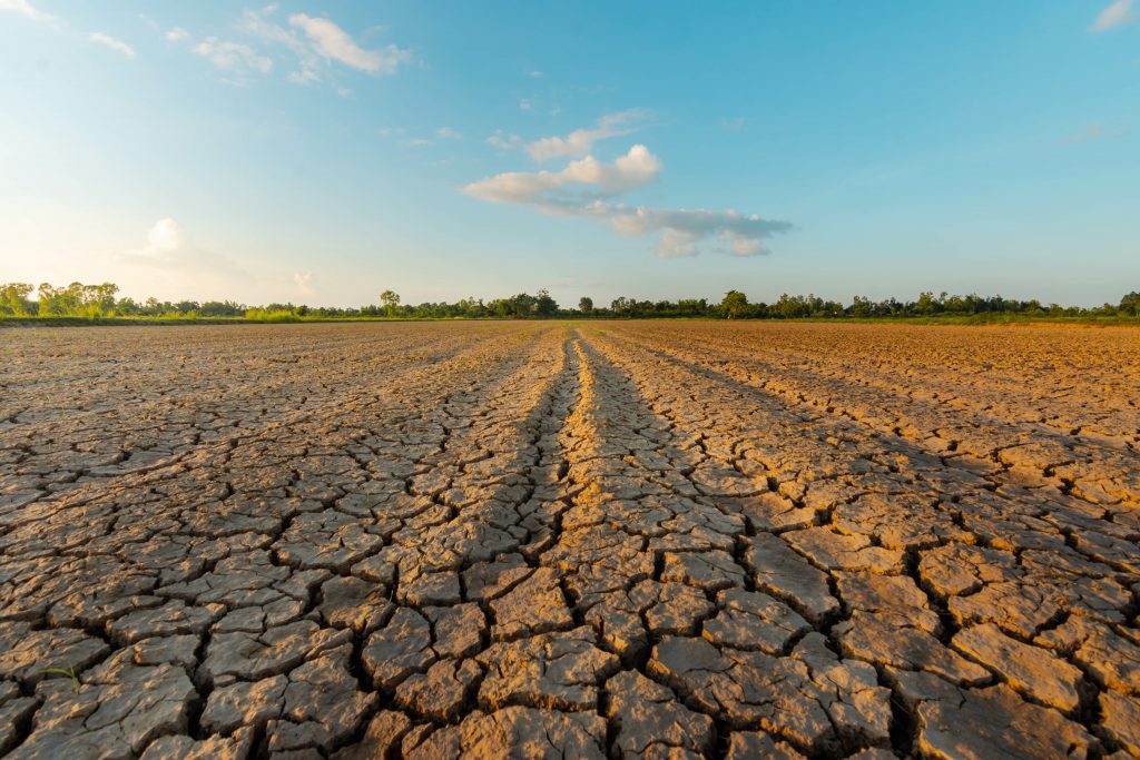 The Santa Clara Valley Water District met with the City Council to warn about the worsening drought and potential rate increases.