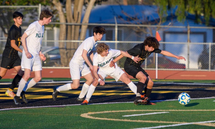 Wilcox soccer claimed its first ever El Camino League title and then went on to defeat Palo Alto 2-0 in the first round of the CCS Playoffs.