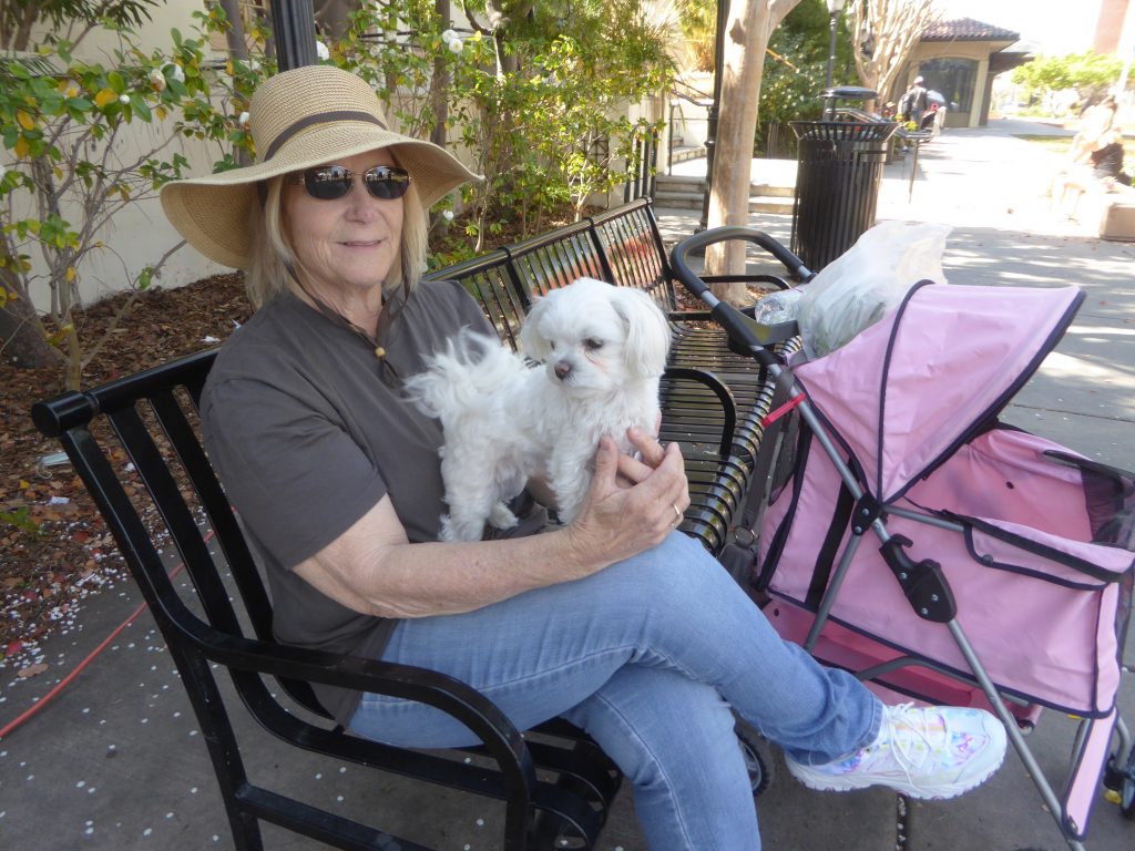Won't You Be My Neighbor? meets Pat Simkins and her beloved Maltese Tifi as they say hello to people at Santa Clara's Farmer's Market.