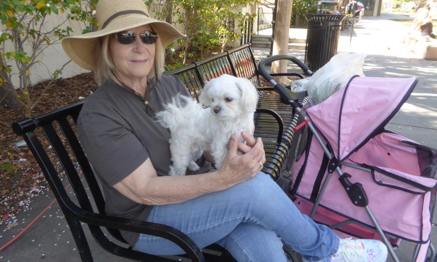 Won't You Be My Neighbor? meets Pat Simkins and her beloved Maltese Tifi as they say hello to people at Santa Clara's Farmer's Market.