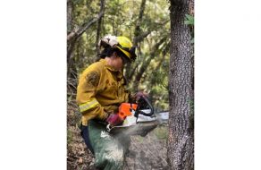 Santa Clara Co. Wildfire Prevention Efforts