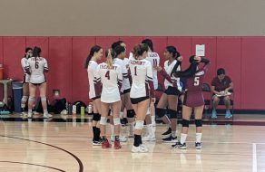 Firebirds Cooled Off by Gators