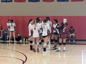 Firebirds Cooled Off by Gators