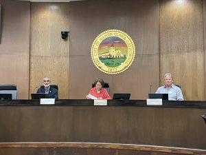 Chahal and McColloch Vie for Santa Clara District 2 Seat