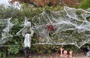 Sutter Student Wins District 4 Home Decorating Contest