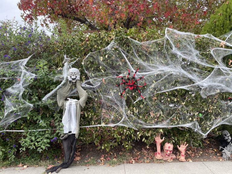 Sutter Student Wins District 4 Home Decorating Contest