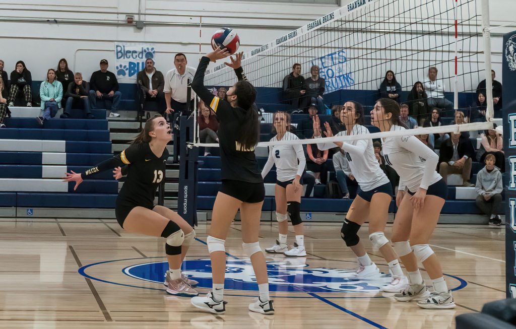 The Wilcox volleyball team was bumped out of the CCS playoffs by Branham but still secured a spot in an at-large bid in the state tournament.