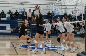 Wilcox Volleyball Makes Big Impression Despite CCS Loss 