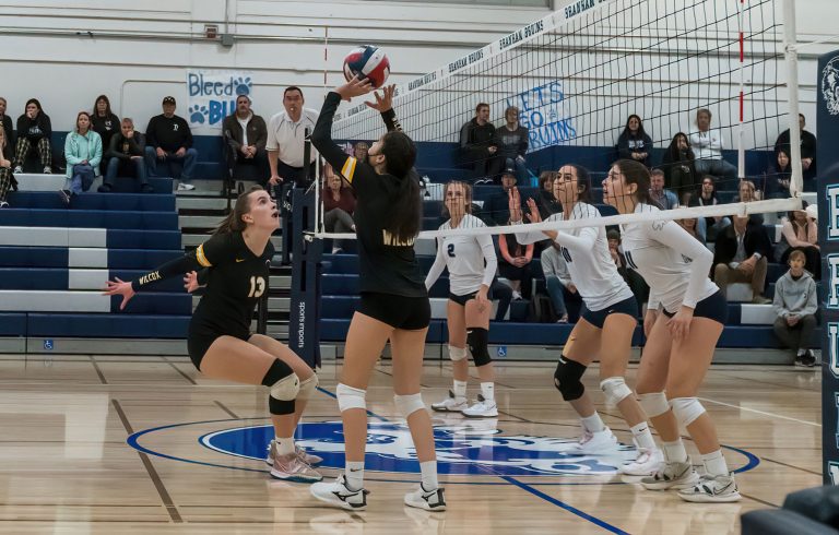 Wilcox Volleyball Makes Big Impression Despite CCS Loss