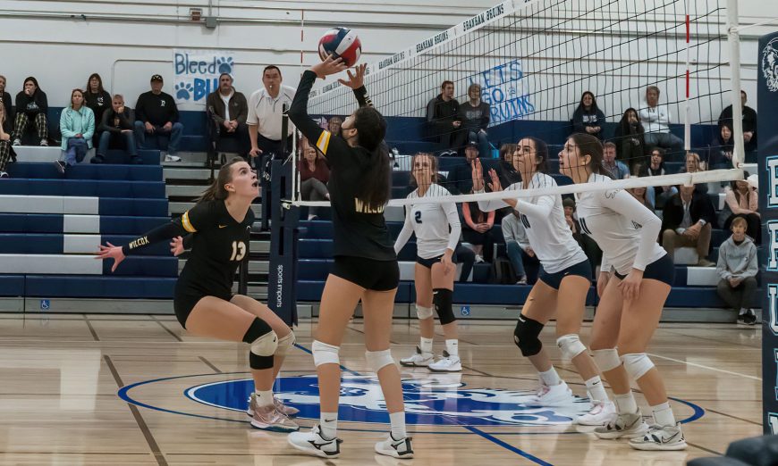 The Wilcox volleyball team was bumped out of the CCS playoffs by Branham but still secured a spot in an at-large bid in the state tournament.