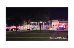 Gas Thieves Arrested by Sunnyvale DPS