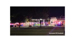 Gas Thieves Arrested by Sunnyvale DPS