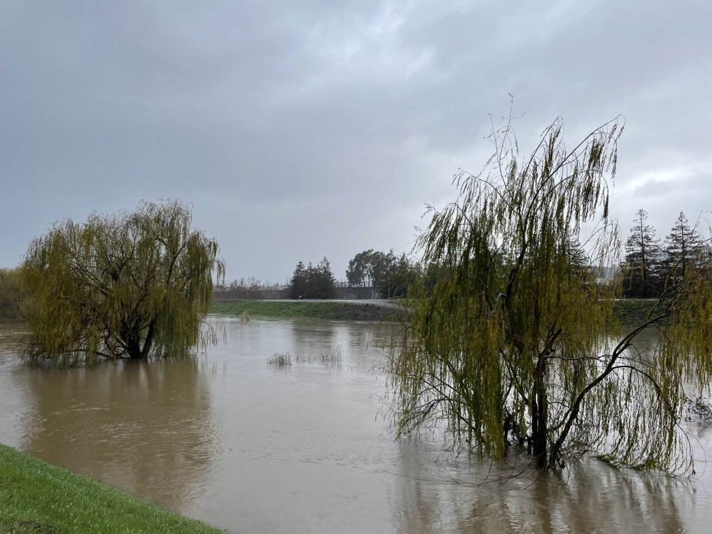 A storm bringing strong winds caused a power outage that closed one local school and raised the levels of local waterways.