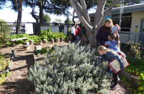 Pomeroy Elementary Garden Rooted in Community