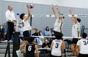 Wilcox Volleyball Falls Short; Softball Wins
