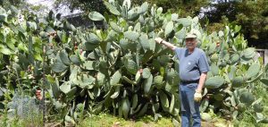 Won’t You Be My Neighbor, Roger Weise and James Bourquin?