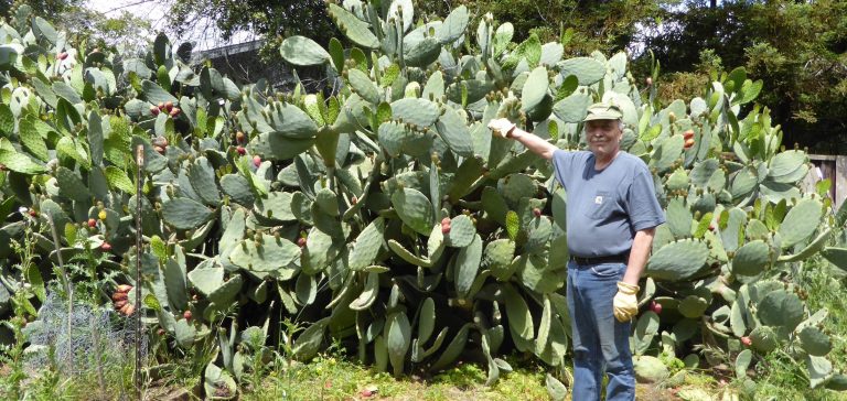 Won’t You Be My Neighbor, Roger Weise and James Bourquin?