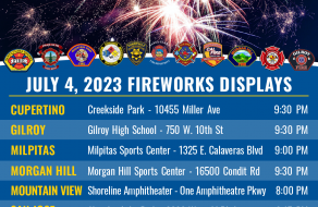 Leave Fireworks to the Pros