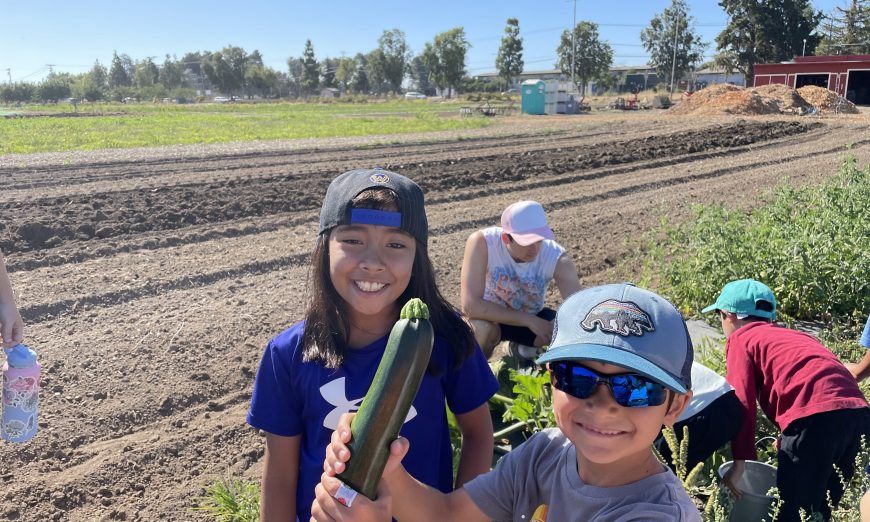 SCUSD's farm to table camp teaches students about farming including how to grow fruits and vegetables properly and how to tell when they're ready to eat.