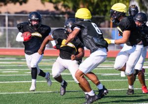 Wilcox Football Looks Prime for Another Strong Season 