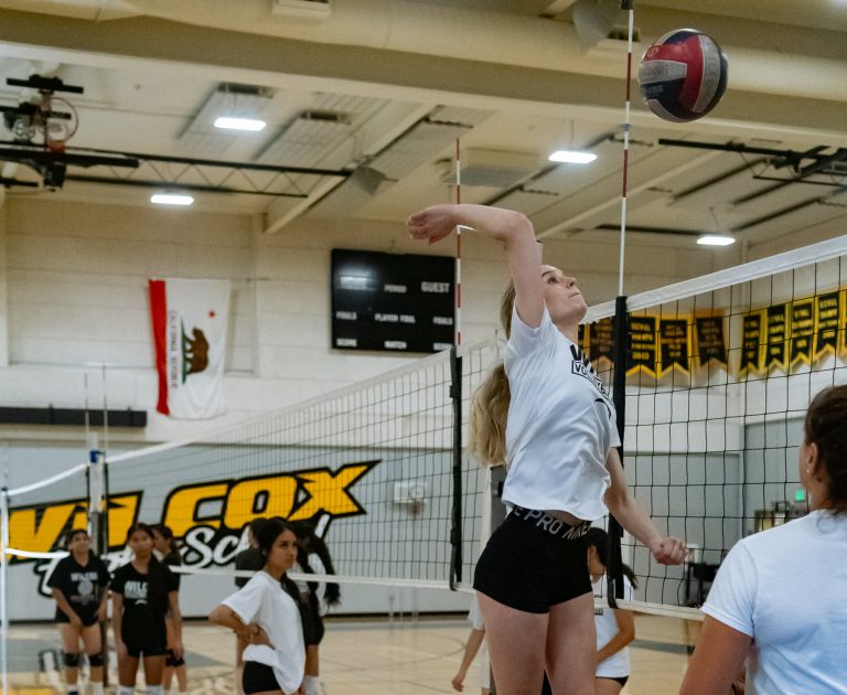 Wilcox Volleyball with a ’Ship and a Chip