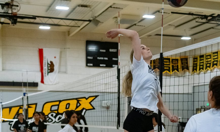Wilcox's varsity volleyball squad finished at the top of its CCS division last season and despite player turnover, the team is raring for a repeat.